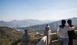 南山在线观看,探索城市生活新视角